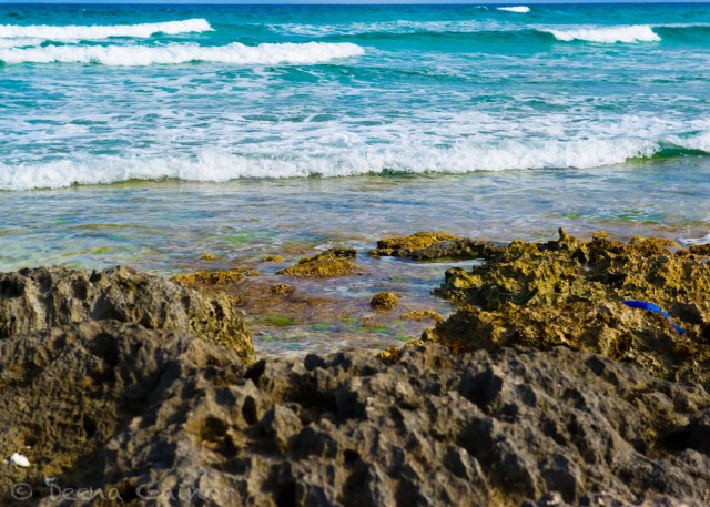 GG Blog Cozumel Punta Sur 1 LR WM