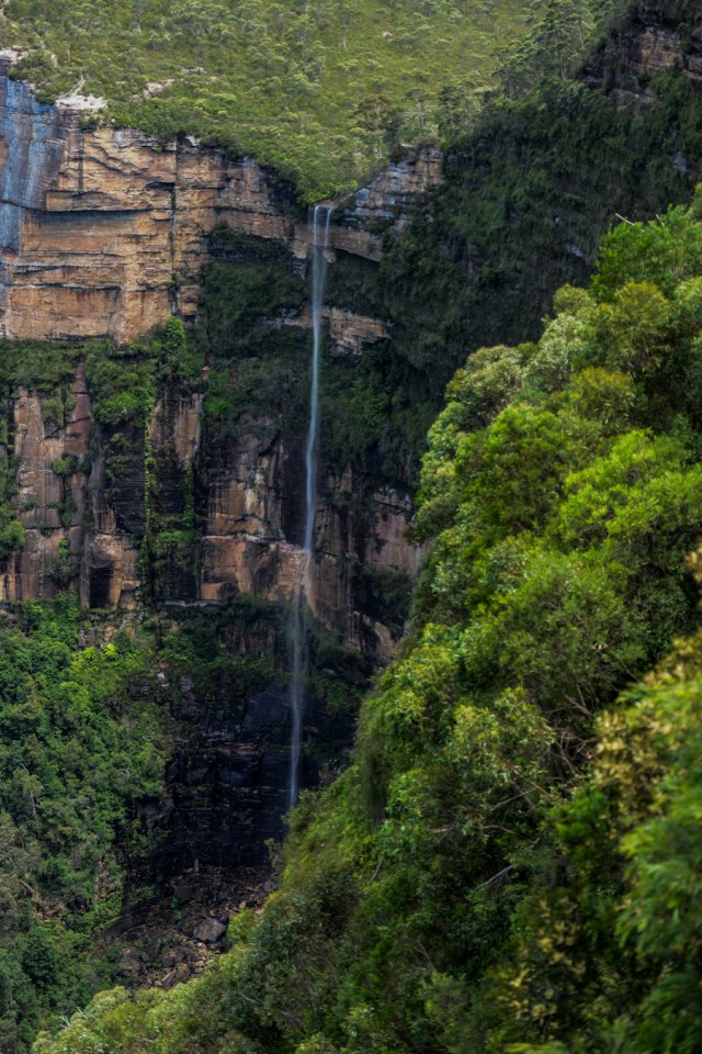 Longer than I could photograph!