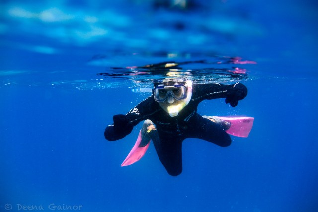 They ran out of blue fins for Danny