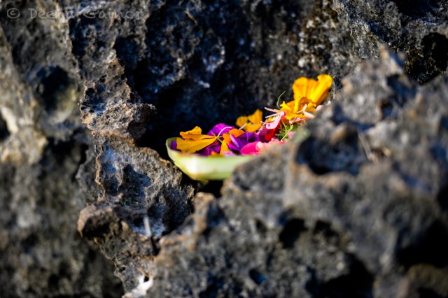 An offering of flowers