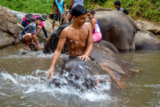 Ryan bathing his Elephant