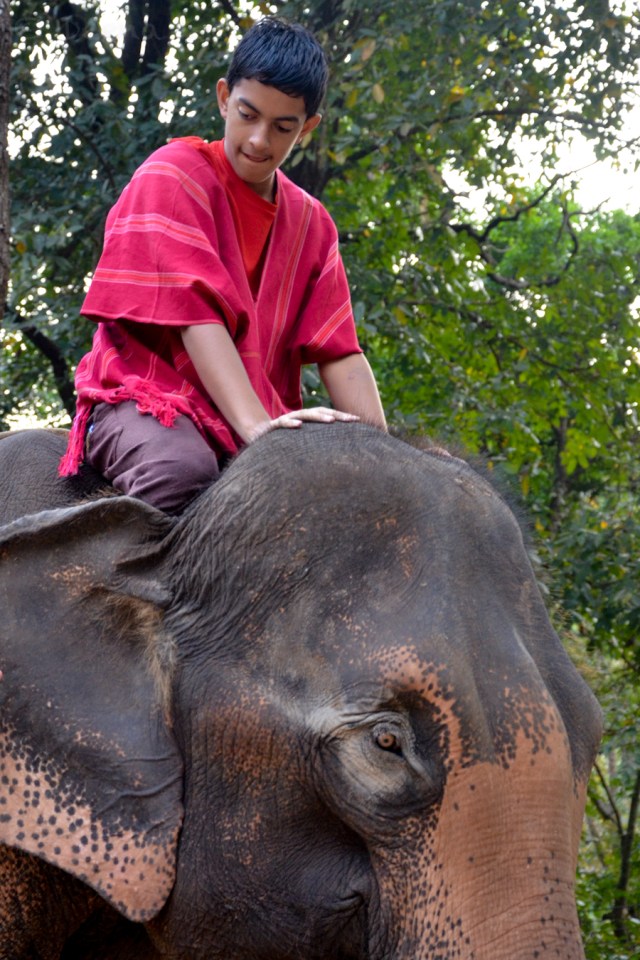 Ryan riding his elephant - Photo by Deena