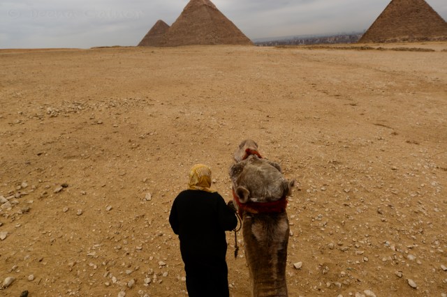 View from the top of our camel