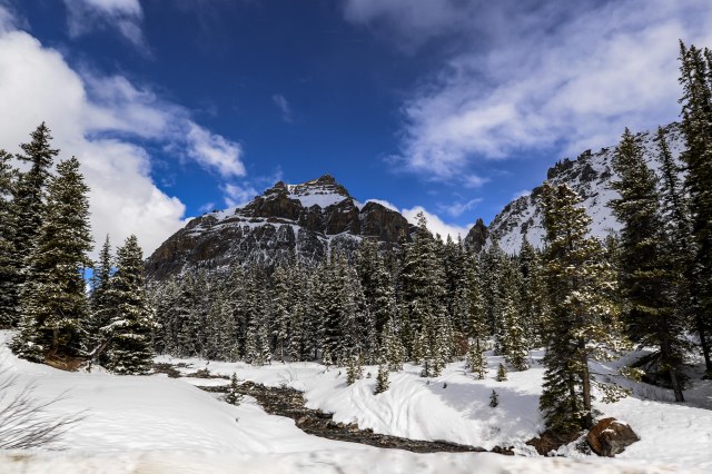 2019 Canada Icefields 8 WM