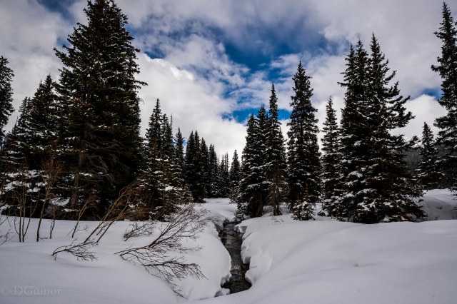 2019 Canada Icefields Parkway Stream 4 WM