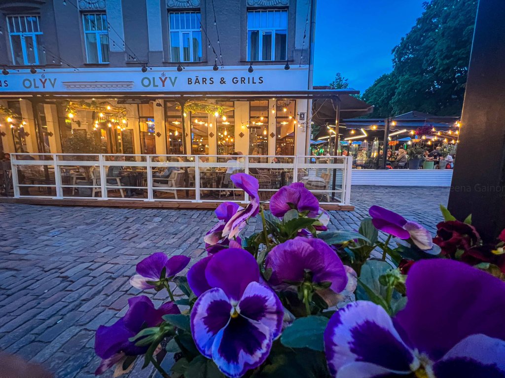 A vibrant outdoor seating area of a bar and grill named OLYV, with warm string lights illuminating the space and colorful flowers in the foreground, set against a twilight sky.